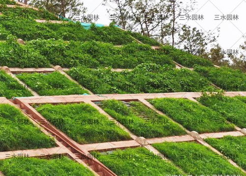 內(nèi)江市高速公路邊坡施工找專業(yè)的工程隊