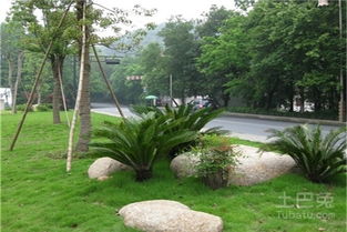 城市園林綠化工程施工及驗收規范 對城市發展的意義