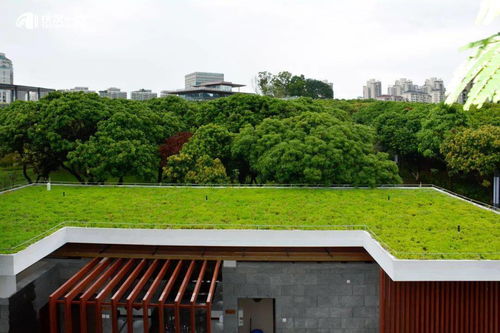 三龍灣大道及相連道路綜合提升 景觀工程 設(shè)計(jì)施工總承包工程