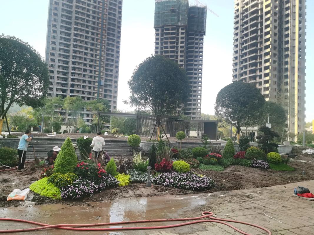 地產項目大門入口節點花境設計施工~#園林綠化工程 #施工現場