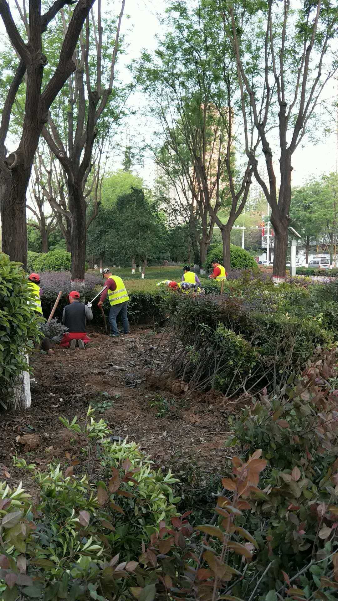 生態(tài)公司快速啟動(dòng)景觀綠化及人行道提升改造工程 - 美篇