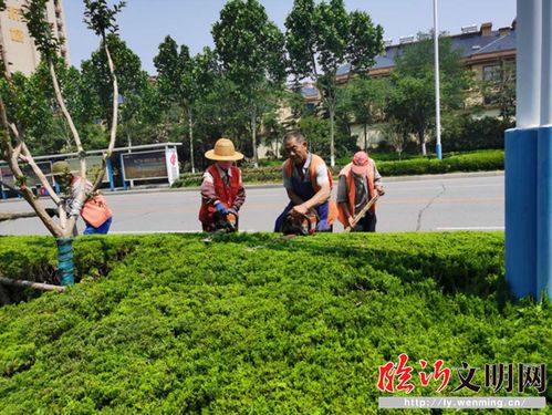 高新區(qū) 創(chuàng)建全國(guó)文明城市,園林人在行動(dòng)