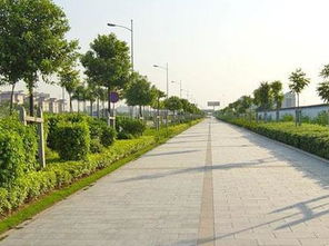 如何在市政道路園林施工完善綠化養(yǎng)護(hù)管理 好養(yǎng)護(hù)