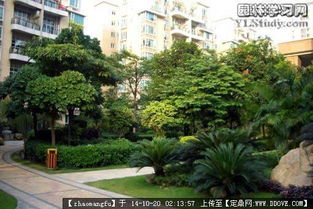 植物配置,花鏡設(shè)計參考實景圖片的圖片瀏覽,園林節(jié)點(diǎn)照片,綠化,園林景觀設(shè)計施工圖紙資料下載