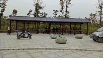 生態木花架與體育場地設施工程施工 價格、耐用性與施工指南