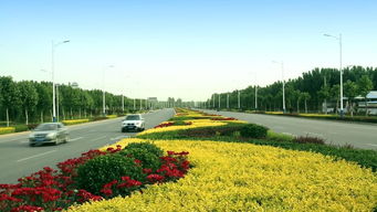 綠動磁州，健行未來 八項重點工程繪就園林縣城新畫卷